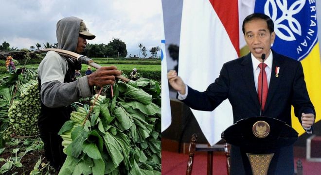 jokowi