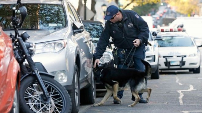 A police dog checks out vehicles at the scene of the incident