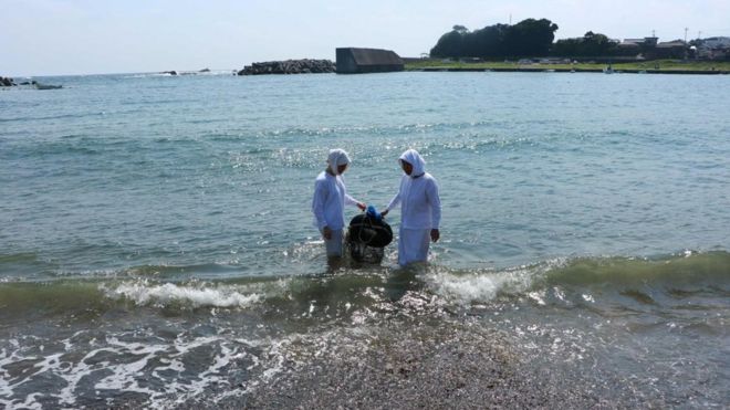 Ama japonesas sacando una cesta del mar