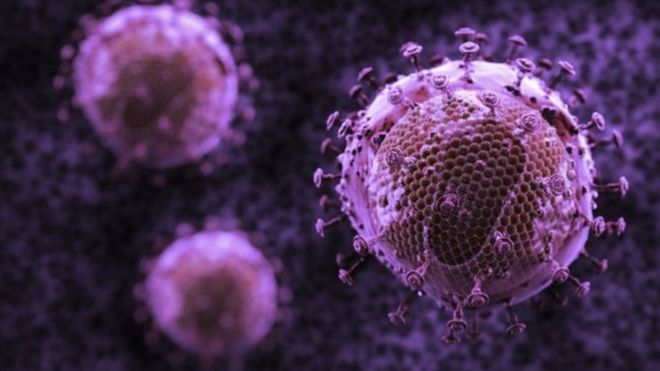 تطوير أجسام مضادة خارقة تقضي على 99 في المائة من فيروسات الإيدز _97996628_1