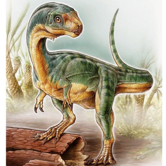 Chilesaurus