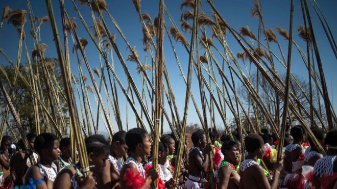 Women carrying reeds during the rain dance in Swaziland - 2016