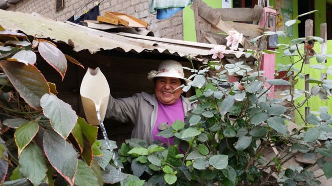 Residente de la Comunidad de Eliseo Collazos en Lima.