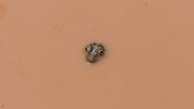 நீரும், நானும்: பிபிசி தமிழ் வாசகர்களின் புகைப்படத் தொகுப்பு