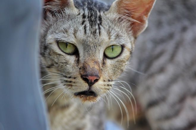 வ.நா.ஹாரிஷ் ராகவ், ஈரோடு