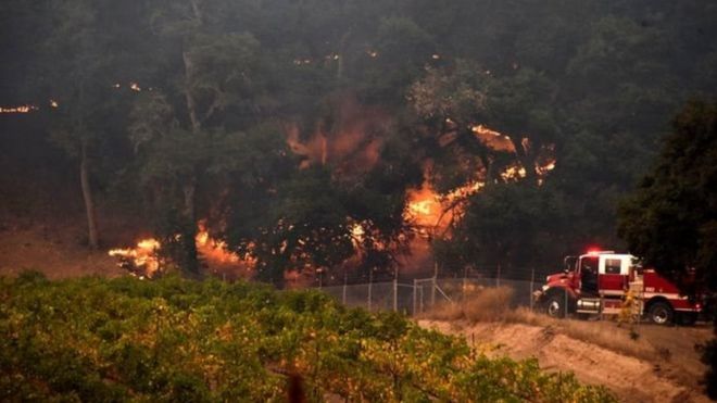 Lính cứu hỏa vật lộn với lửa ở một trang trại trồng nho ở Santa Rosa