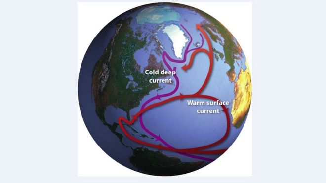 The Ocean Conveyor. A global system of currents, often called the “ocean conveyor”, carries warm surface waters from the tropics northward (c) Jack Cook, Woods Hole Oceanographic Institution