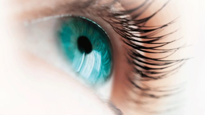 Iris