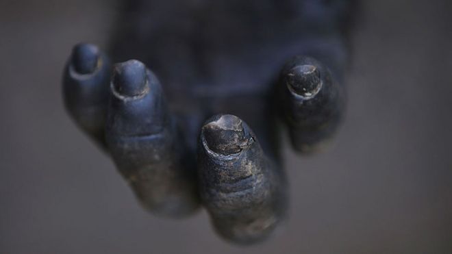 Mão de um chimpanzé