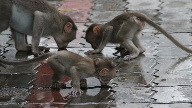 muthuramalingam_s2726