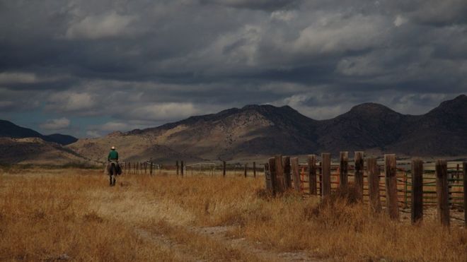 A lone cowboy in beautiful countryside, 3 November 2016