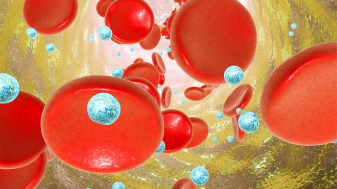 ذرات نانو در خون و در میان گلبول‌های قرمز