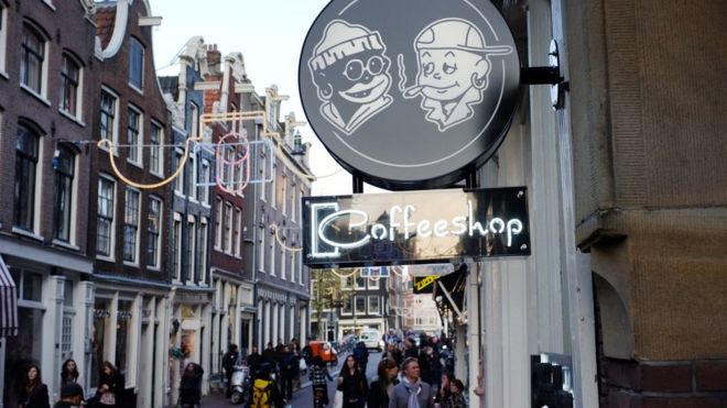 Amsterdam'da bir 'coffeeshop'