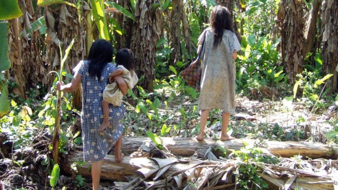 Mujeres Tsimane