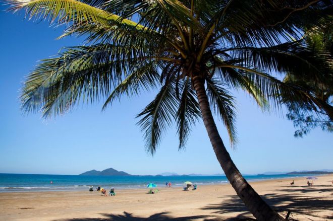 Picture of Mission Beach in Queensland, Australia - ONE TIME USE ONLY