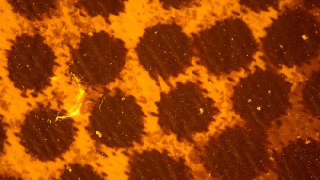 Filtreleme sonunda büyük parçacıklar sarı işaretlerde görülebiliyor.