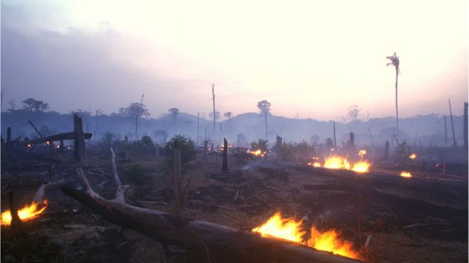 Desmatamento no Acre para pasto