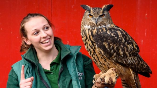 Max the eagle owl