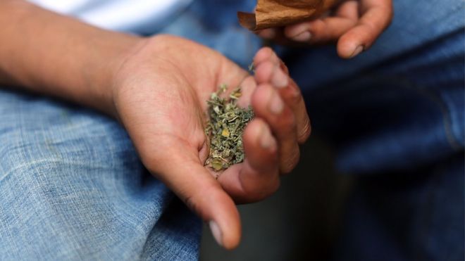 Possible synthetic cannabis-related death in South Auckland