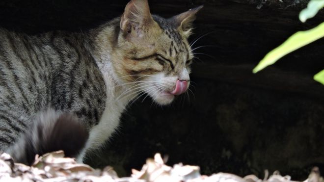 ச.கார்த்திக், மதுரை