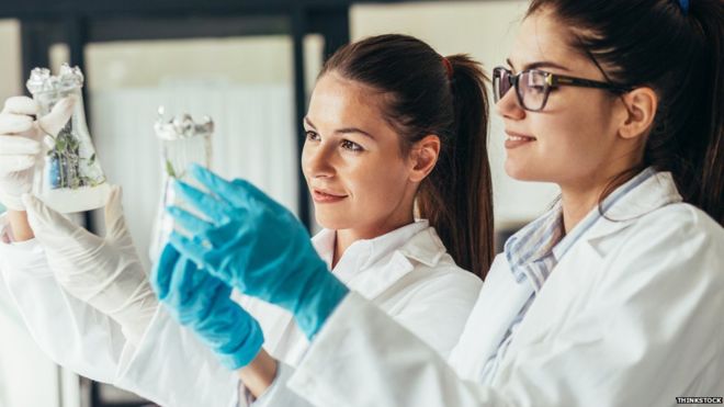 Scientist in lab