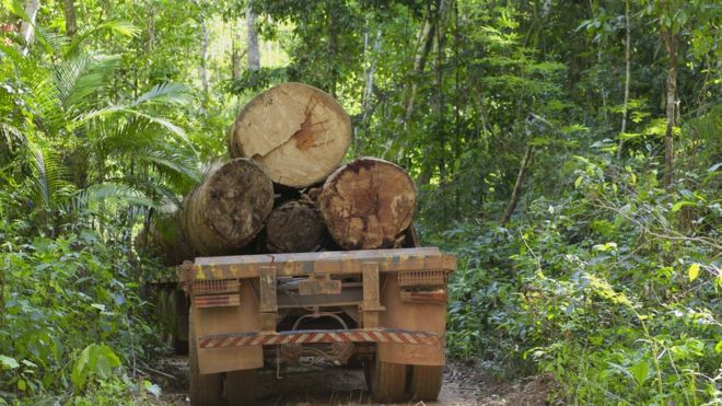 Caminhão com toras de madeiras no meio da Amazônia