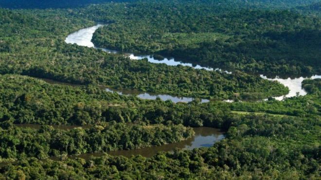 Vista da floresta amazônica no município de Novo Progresso (PA)