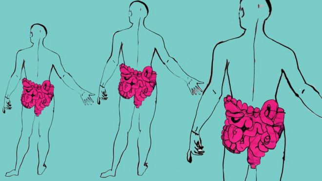 Por qué decidí donar mis heces a la ciencia