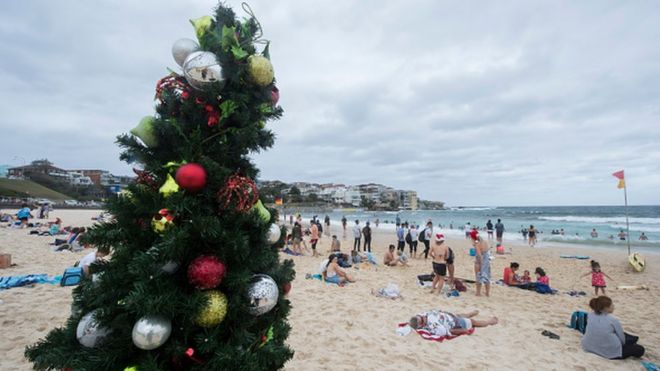 கிறிஸ்துமஸ் சிறப்பு புகைப்படத் தொகுப்பு