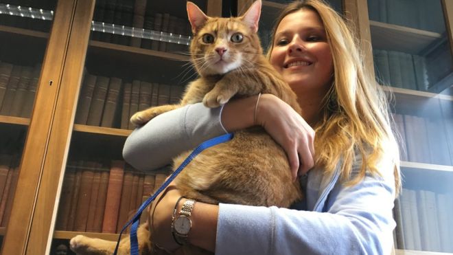 Cat Relieves Stress at Cambridge University