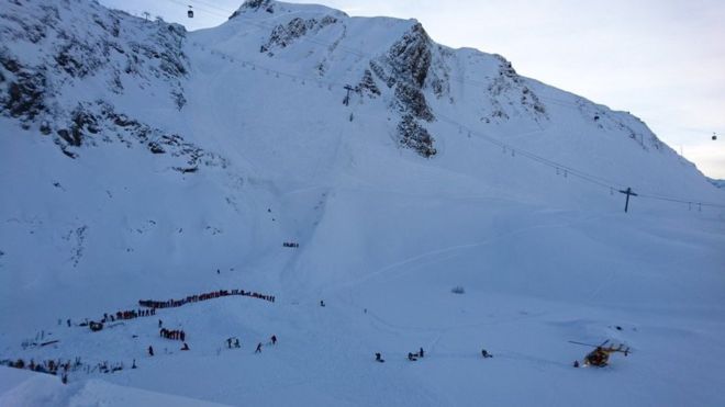 Rescue dogs going to the scene of the avalanche