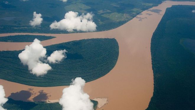 Vista aérea del Amazonas