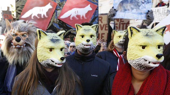 Manifestantes protestan contra la caza de lobos en Francia.