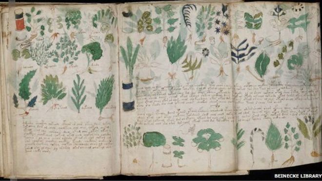 Páginas do manuscrito medieval mostram plantas