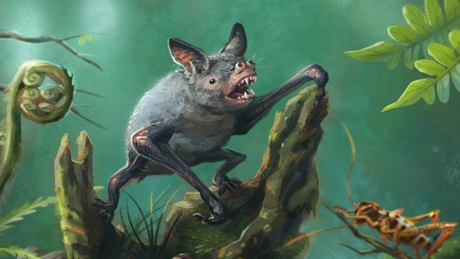 Artist's impression of another kind of extinct New Zealand burrowing bat, Mystacina robusta, that went extinct in the 1960s.