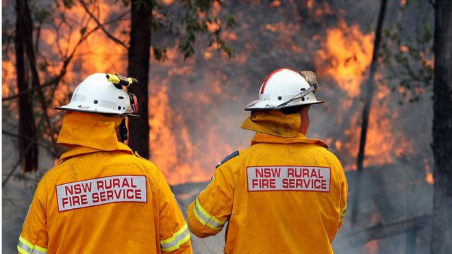 New South Wales firefighters monitor a bushfire