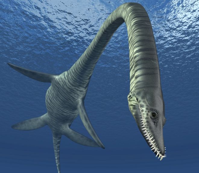 Cambridgeshire plesiosaur 'sea monster' could be 'new species'