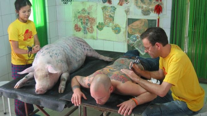 Tim Steiner sendo tatuado por Wim Delvoye
