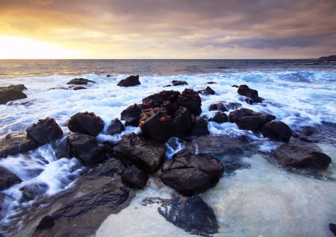 2017 கலபகோஸ் தீவு புகைப்படப் போட்டி: நடுவர்களை வியக்க வைத்த புகைப்படங்கள்