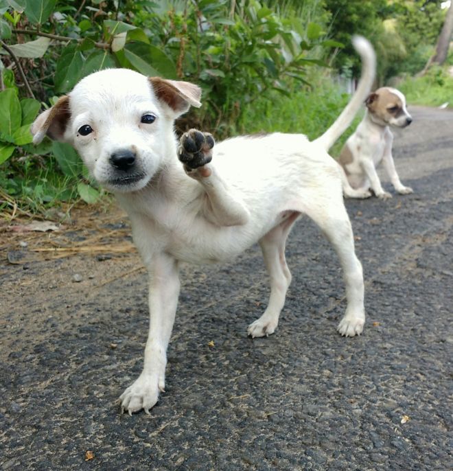 P.செல்வக்குமார், நாகப்பட்டினம்