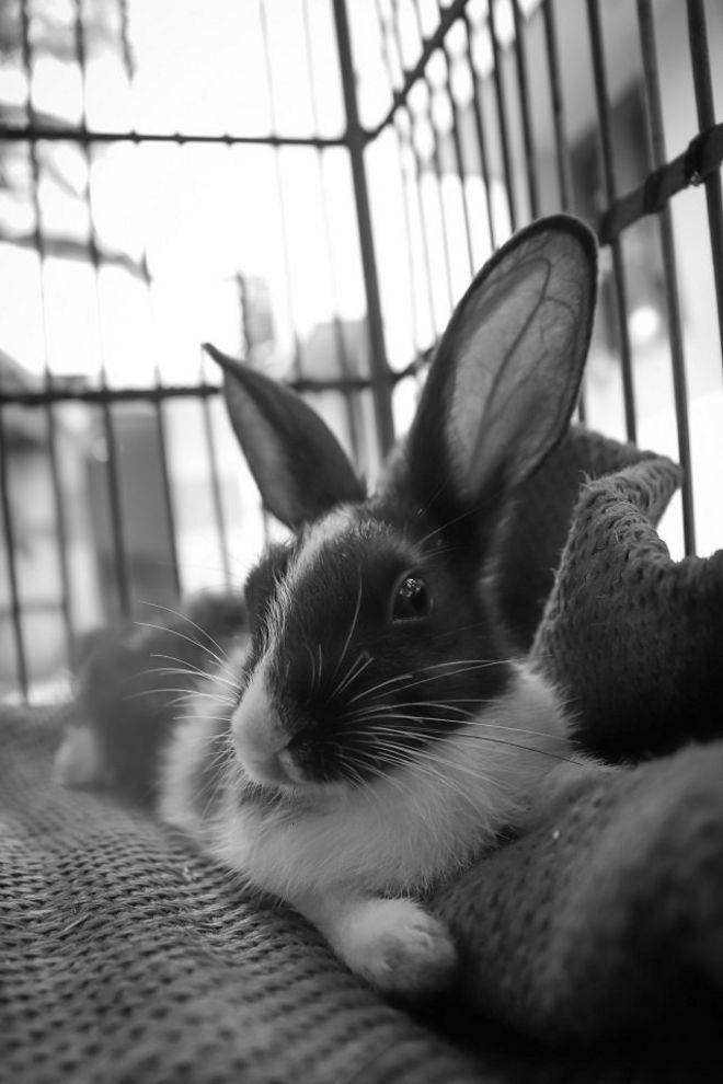 A.N.Naveenraj, Salem