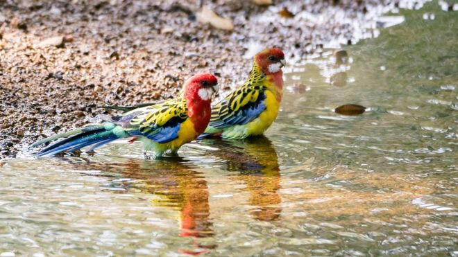 நீரும், நானும்: பிபிசி தமிழ் வாசகர்களின் புகைப்படத் தொகுப்பு