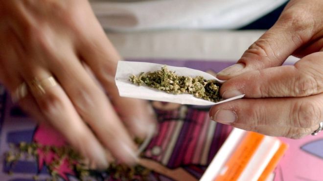 Woman rolls a marijuana joint in San Francisco, California