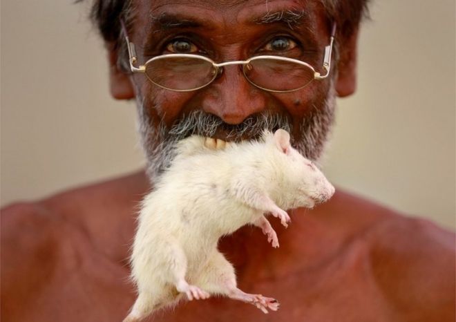 A farmer from the southern state of Tamil Nadu poses as he bites a mouse during a protest demanding a drought-relief package from the federal government, in New Delhi, India, March 27, 2017