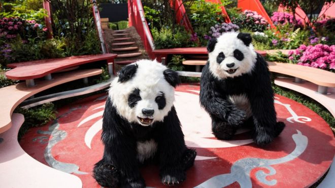 people in panda costumes perform