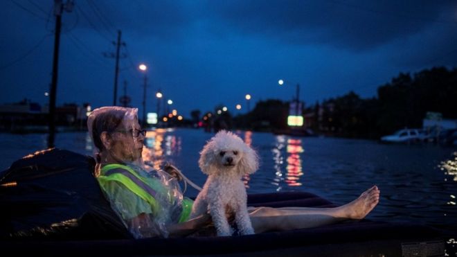 Una mujer y su mascota esperaron a que las rescataran desde un flotador inflable en medio de la calle.