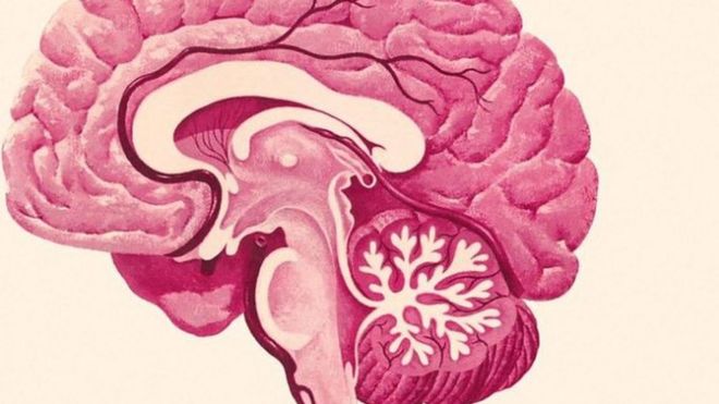 تسع تغييرات حياتية "يمكنها الحد من الإصابة بالخرف"