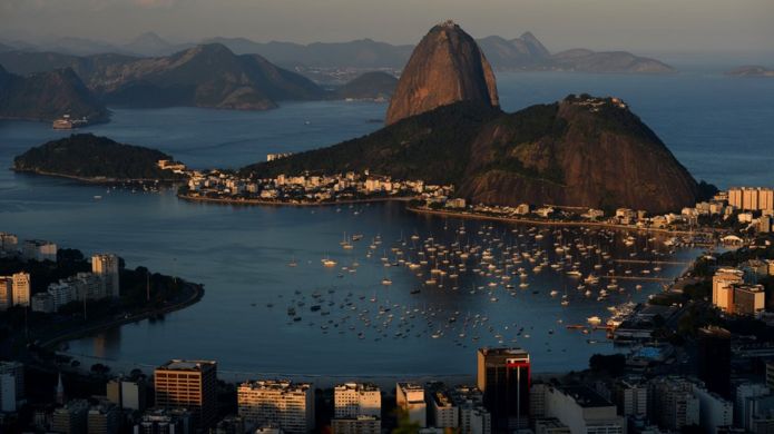 Brasil le debe su nombre a un árbol.