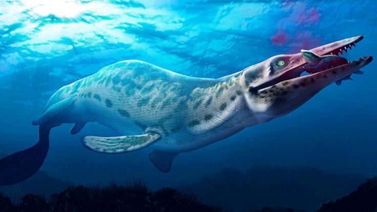 Una ilustración de un mosasaurio