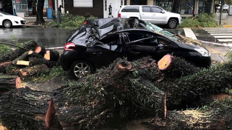 Un árbol cayó sobre un auto en Buenos Aires